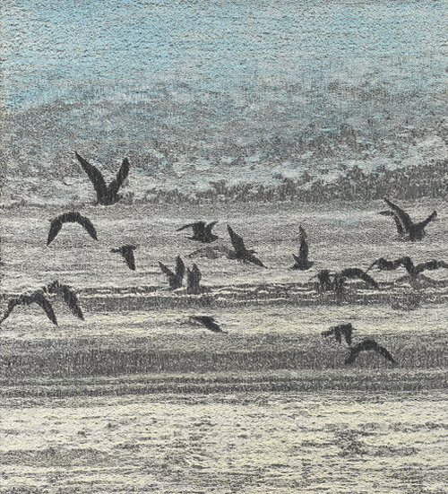 Birds at Water's Edge